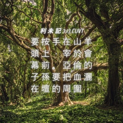 Picture 04 - 利 未 記 3:13 CUVT - 要 按 手 在 山 羊 頭 上 ， 宰 於 會 - Bible Verse Picture