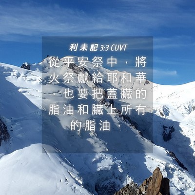Picture 04 - 利 未 記 3:3 CUVT - 從 平 安 祭 中 ， 將 火 祭 獻 給 耶 - Bible Verse Picture