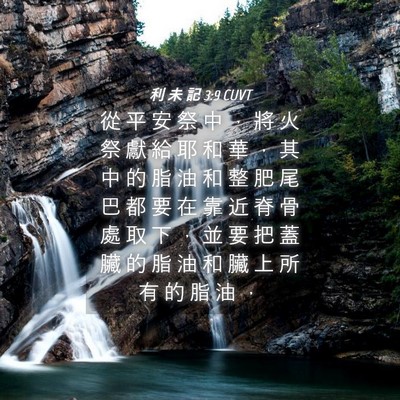 Picture 04 - 利 未 記 3:9 CUVT - 從 平 安 祭 中 ， 將 火 祭 獻 給 耶 - Bible Verse Picture