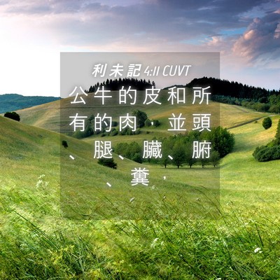 Picture 04 - 利 未 記 4:11 CUVT - 公 牛 的 皮 和 所 有 的 肉 ， 並 頭 - Bible Verse Picture