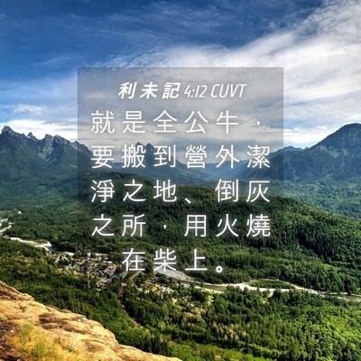 Picture 04 - 利 未 記 4:12 CUVT - 就 是 全 公 牛 ， 要 搬 到 營 外 潔 - Bible Verse Picture