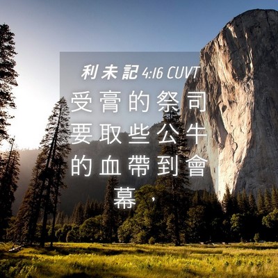 Picture 04 - 利 未 記 4:16 CUVT - 受 膏 的 祭 司 要 取 些 公 牛 的 血 - Bible Verse Picture