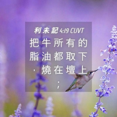 Picture 04 - 利 未 記 4:19 CUVT - 把 牛 所 有 的 脂 油 都 取 下 ， 燒 - Bible Verse Picture