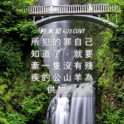 Picture 04 - 利 未 記 4:23 CUVT - 所 犯 的 罪 自 己 知 道 了 ， 就 要 - Bible Verse Picture