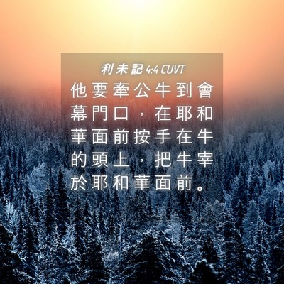 Picture 04 - 利 未 記 4:4 CUVT - 他 要 牽 公 牛 到 會 幕 門 口 ， 在 - Bible Verse Picture