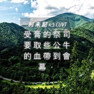 Picture 04 - 利 未 記 4:5 CUVT - 受 膏 的 祭 司 要 取 些 公 牛 的 血 - Bible Verse Picture