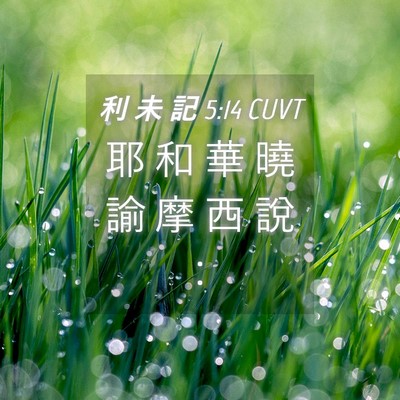 Picture 04 - 利 未 記 5:14 CUVT - 耶 和 華 曉 諭 摩 西 說 - Bible Verse Picture