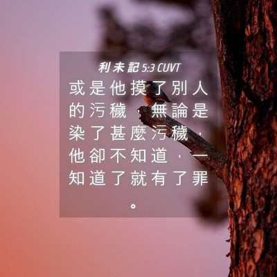 Picture 04 - 利 未 記 5:3 CUVT - 或 是 他 摸 了 別 人 的 污 穢 ， 無 - Bible Verse Picture