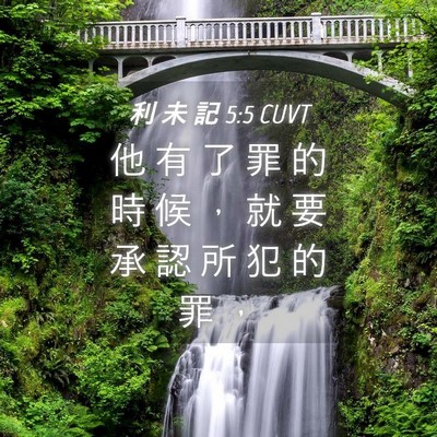Picture 04 - 利 未 記 5:5 CUVT - 他 有 了 罪 的 時 候 ， 就 要 承 認 - Bible Verse Picture