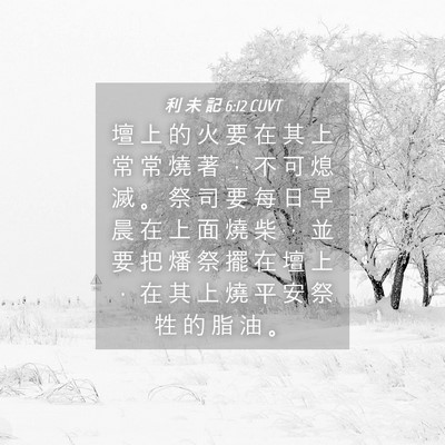 Picture 04 - 利 未 記 6:12 CUVT - 壇 上 的 火 要 在 其 上 常 常 燒 著 - Bible Verse Picture