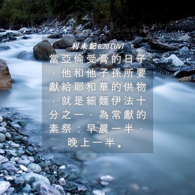 Picture 04 - 利 未 記 6:20 CUVT - 當 亞 倫 受 膏 的 日 子 ， 他 和 他 - Bible Verse Picture
