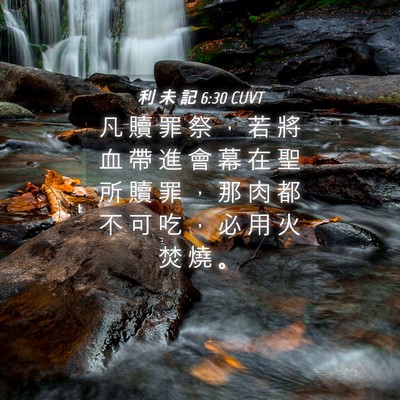 Picture 04 - 利 未 記 6:30 CUVT - 凡 贖 罪 祭 ， 若 將 血 帶 進 會 幕 - Bible Verse Picture