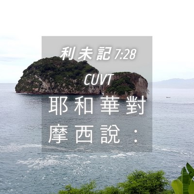 Picture 04 - 利 未 記 7:28 CUVT - 耶 和 華 對 摩 西 說 - Bible Verse Picture