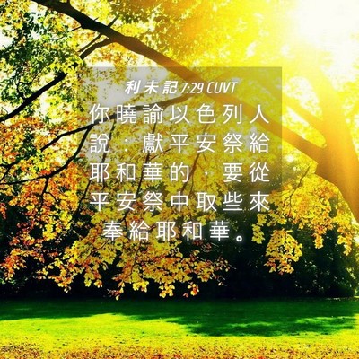 Picture 04 - 利 未 記 7:29 CUVT - 你 曉 諭 以 色 列 人 說 ： 獻 平 安 - Bible Verse Picture
