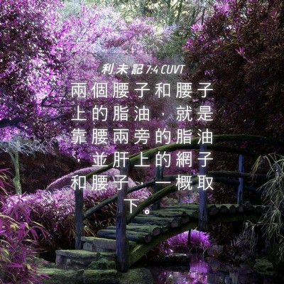 Picture 04 - 利 未 記 7:4 CUVT - 兩 個 腰 子 和 腰 子 上 的 脂 油 ， - Bible Verse Picture