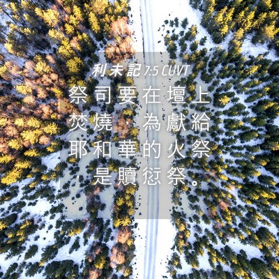 Picture 04 - 利 未 記 7:5 CUVT - 祭 司 要 在 壇 上 焚 燒 ， 為 獻 給 - Bible Verse Picture