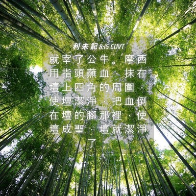 Picture 04 - 利 未 記 8:15 CUVT - 就 宰 了 公 牛 。 摩 西 用 指 頭 蘸 - Bible Verse Picture