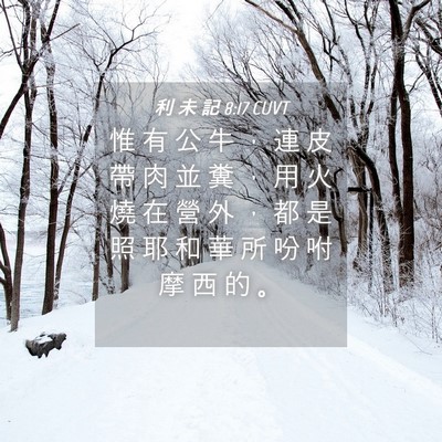 Picture 04 - 利 未 記 8:17 CUVT - 惟 有 公 牛 ， 連 皮 帶 肉 並 糞 ， - Bible Verse Picture