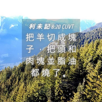 Picture 04 - 利 未 記 8:20 CUVT - 把 羊 切 成 塊 子 ， 把 頭 和 肉 塊 - Bible Verse Picture