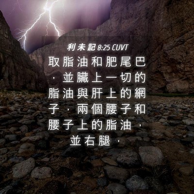 Picture 04 - 利 未 記 8:25 CUVT - 取 脂 油 和 肥 尾 巴 ， 並 臟 上 一 - Bible Verse Picture