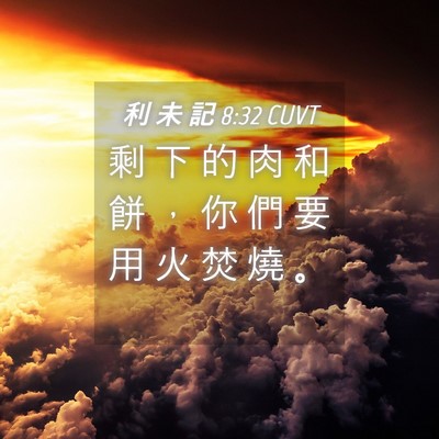 Picture 04 - 利 未 記 8:32 CUVT - 剩 下 的 肉 和 餅 ， 你 們 要 用 火 - Bible Verse Picture