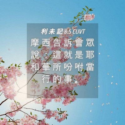 Picture 04 - 利 未 記 8:5 CUVT - 摩 西 告 訴 會 眾 說 ： 這 就 是 耶 - Bible Verse Picture