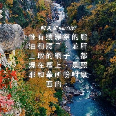 Picture 04 - 利 未 記 9:10 CUVT - 惟 有 贖 罪 祭 的 脂 油 和 腰 子 ， - Bible Verse Picture
