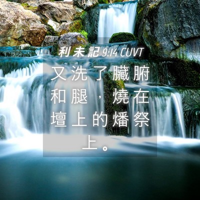 Picture 04 - 利 未 記 9:14 CUVT - 又 洗 了 臟 腑 和 腿 ， 燒 在 壇 上 - Bible Verse Picture