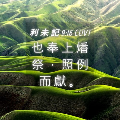 Picture 04 - 利 未 記 9:16 CUVT - 也 奉 上 燔 祭 ， 照 例 而 獻 - Bible Verse Picture