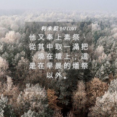 Picture 04 - 利 未 記 9:17 CUVT - 他 又 奉 上 素 祭 ， 從 其 中 取 一 - Bible Verse Picture