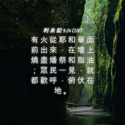 Picture 04 - 利 未 記 9:24 CUVT - 有 火 從 耶 和 華 面 前 出 來 ， 在 - Bible Verse Picture