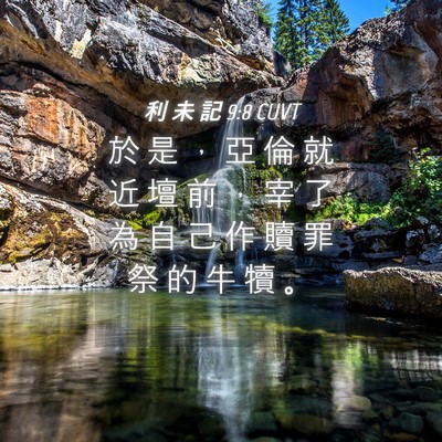 Picture 04 - 利 未 記 9:8 CUVT - 於 是 ， 亞 倫 就 近 壇 前 ， 宰 了 - Bible Verse Picture