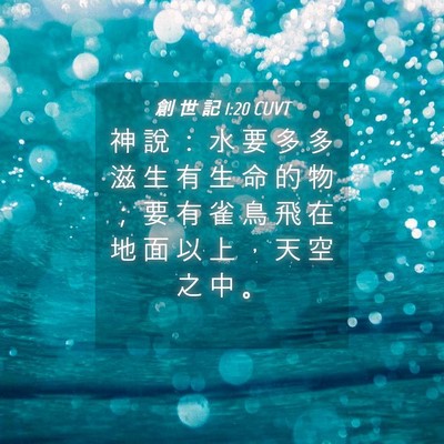 Picture 04 - 創 世 記 1:20 CUVT - 神 說 ： 水 要 多 多 滋 生 有 生 命 - Bible Verse Picture
