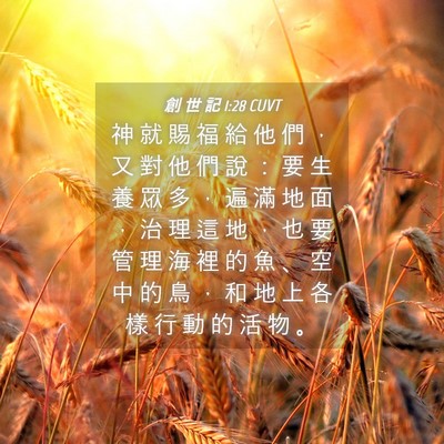 Picture 04 - 創 世 記 1:28 CUVT - 神 就 賜 福 給 他 們 ， 又 對 他 們 - Bible Verse Picture