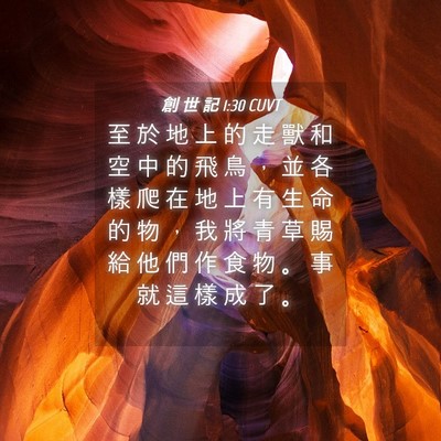 Picture 04 - 創 世 記 1:30 CUVT - 至 於 地 上 的 走 獸 和 空 中 的 飛 - Bible Verse Picture