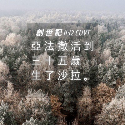 Picture 04 - 創 世 記 11:12 CUVT - 亞 法 撒 活 到 三 十 五 歲 ， 生 了 - Bible Verse Picture