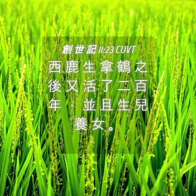 Picture 04 - 創 世 記 11:23 CUVT - 西 鹿 生 拿 鶴 之 後 又 活 了 二 百 - Bible Verse Picture