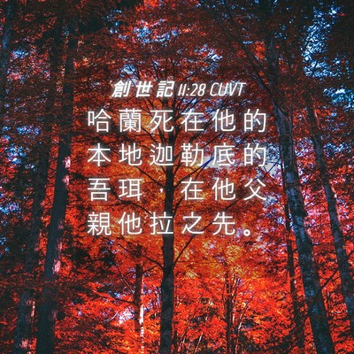 Picture 04 - 創 世 記 11:28 CUVT - 哈 蘭 死 在 他 的 本 地 迦 勒 底 的 - Bible Verse Picture