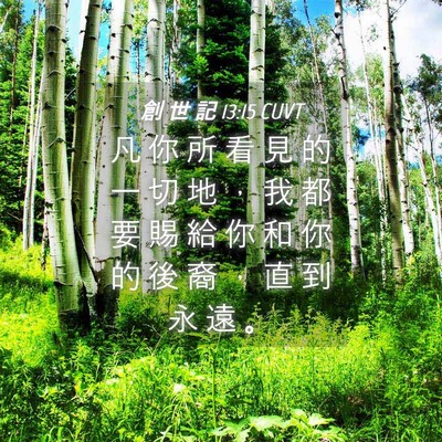 Picture 04 - 創 世 記 13:15 CUVT - 凡 你 所 看 見 的 一 切 地 ， 我 都 - Bible Verse Picture
