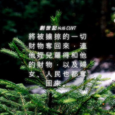 Picture 04 - 創 世 記 14:16 CUVT - 將 被 擄 掠 的 一 切 財 物 奪 回 來 - Bible Verse Picture