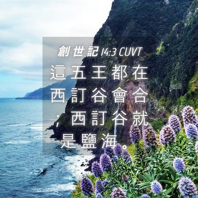 Picture 04 - 創 世 記 14:3 CUVT - 這 五 王 都 在 西 訂 谷 會 合 ； 西 - Bible Verse Picture