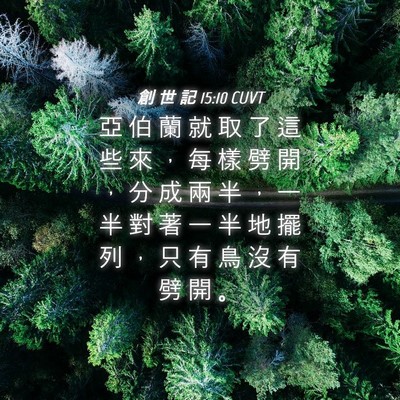 Picture 04 - 創 世 記 15:10 CUVT - 亞 伯 蘭 就 取 了 這 些 來 ， 每 樣 - Bible Verse Picture