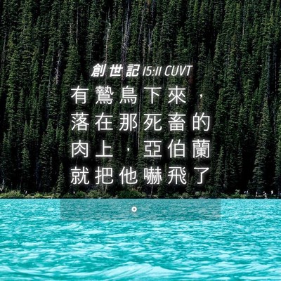 Picture 04 - 創 世 記 15:11 CUVT - 有 鷙 鳥 下 來 ， 落 在 那 死 畜 的 - Bible Verse Picture