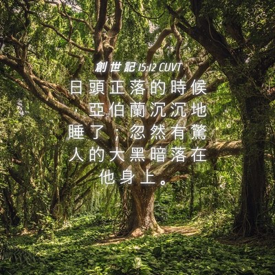 Picture 04 - 創 世 記 15:12 CUVT - 日 頭 正 落 的 時 候 ， 亞 伯 蘭 沉 - Bible Verse Picture