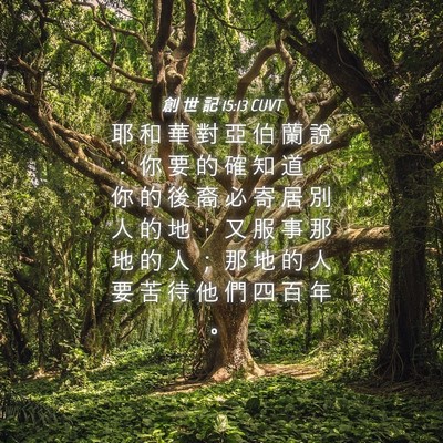 Picture 04 - 創 世 記 15:13 CUVT - 耶 和 華 對 亞 伯 蘭 說 ： 你 要 的 - Bible Verse Picture
