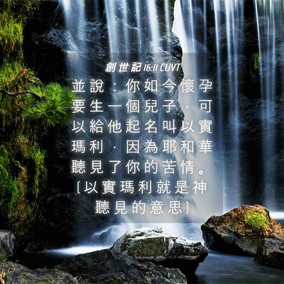 Picture 04 - 創 世 記 16:11 CUVT - 並 說 ： 你 如 今 懷 孕 要 生 一 個 - Bible Verse Picture