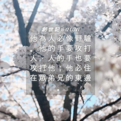 Picture 04 - 創 世 記 16:12 CUVT - 他 為 人 必 像 野 驢 。 他 的 手 要 - Bible Verse Picture