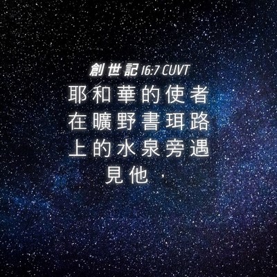 Picture 04 - 創 世 記 16:7 CUVT - 耶 和 華 的 使 者 在 曠 野 書 珥 路 - Bible Verse Picture