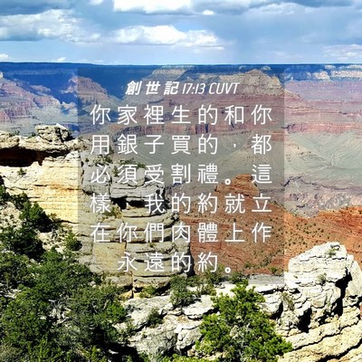 Picture 04 - 創 世 記 17:13 CUVT - 你 家 裡 生 的 和 你 用 銀 子 買 的 - Bible Verse Picture