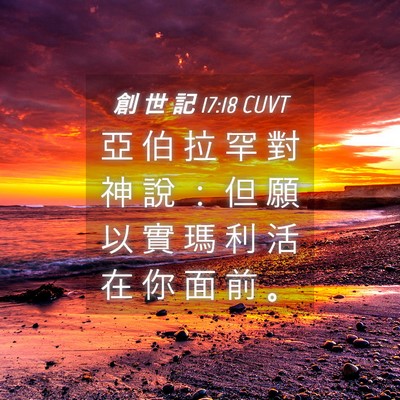 Picture 04 - 創 世 記 17:18 CUVT - 亞 伯 拉 罕 對 神 說 ： 但 願 以 實 - Bible Verse Picture
